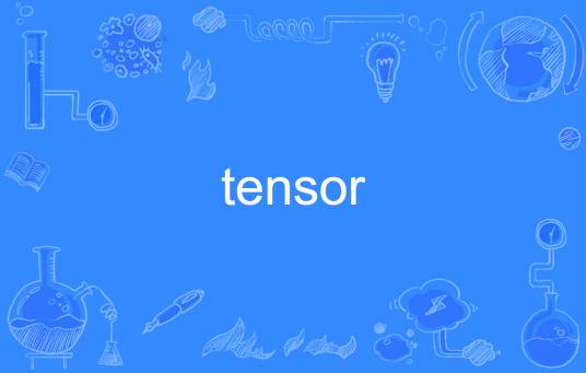 tensor（英语单词）
