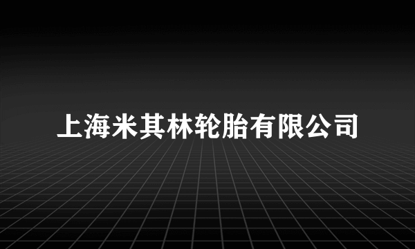 上海米其林轮胎有限公司