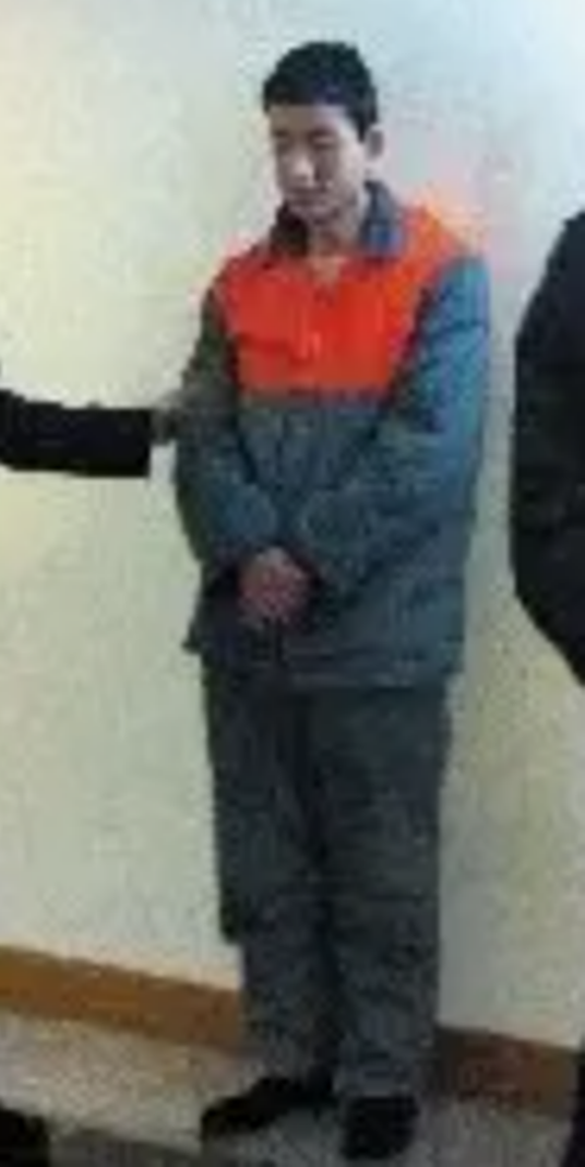 李洪海（11·22北京西单汽车连撞行人事件肇事司机）