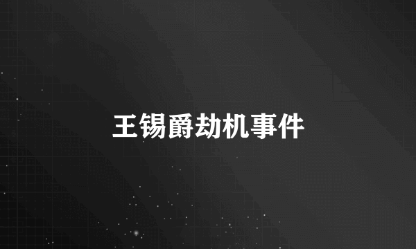 王锡爵劫机事件