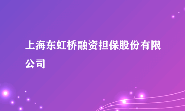 上海东虹桥融资担保股份有限公司