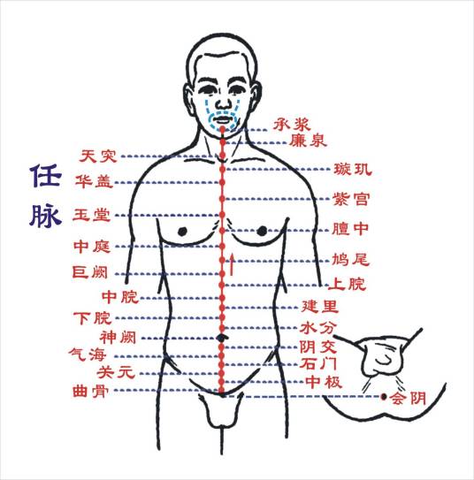 奇经八脉（人体经络走向的一个类别）
