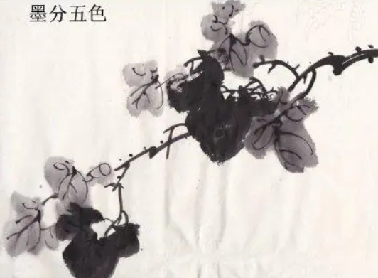 墨分五彩