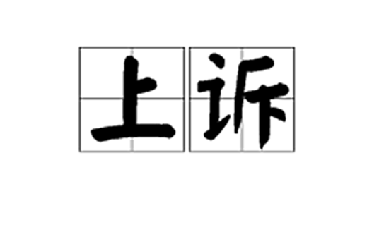 上诉（诉讼行为）