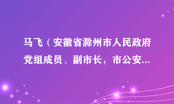 马飞（安徽省滁州市人民政府党组成员、副市长，市公安局党委书记、局长）