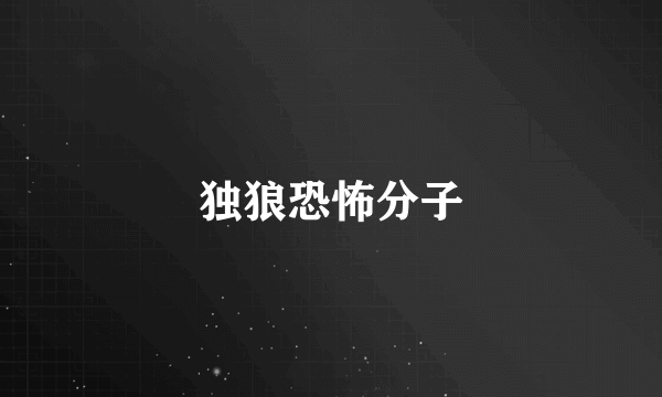 独狼恐怖分子