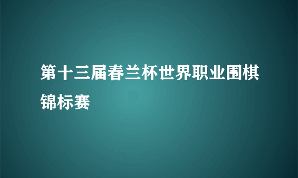 第十三届春兰杯世界职业围棋锦标赛