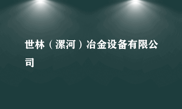 世林（漯河）冶金设备有限公司