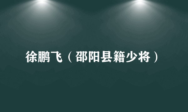 徐鹏飞（邵阳县籍少将）