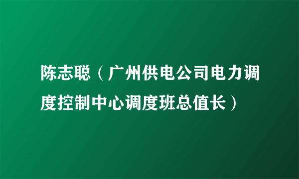 陈志聪（广州供电公司电力调度控制中心调度班总值长）