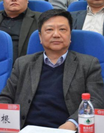 李铁根（河南师范大学法学院副教授）