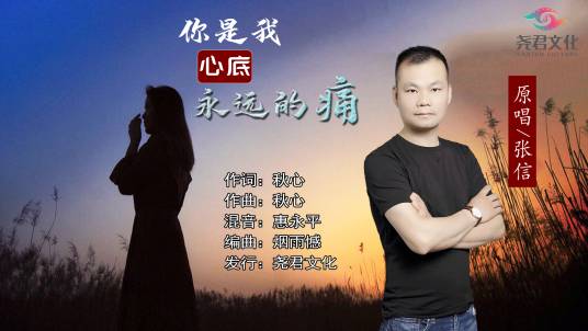 你是我心底永远的痛（张信演唱的歌曲）