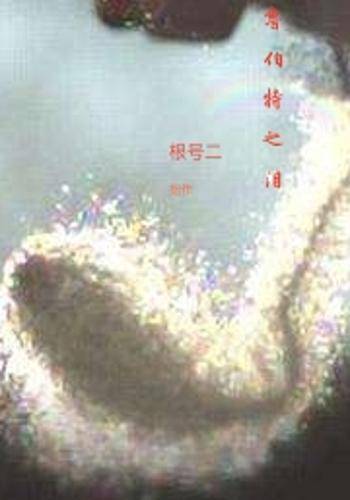 鲁伯特之泪