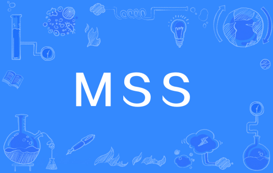MSS（移动交换服务器）