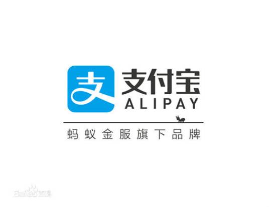 网络电子支付