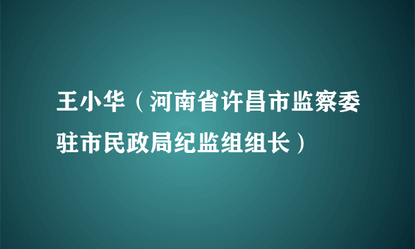 王小华（河南省许昌市监察委驻市民政局纪监组组长）