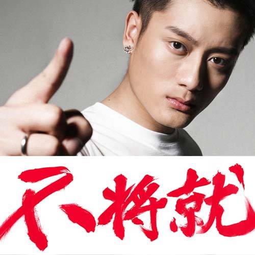 不将就（东南演唱歌曲）