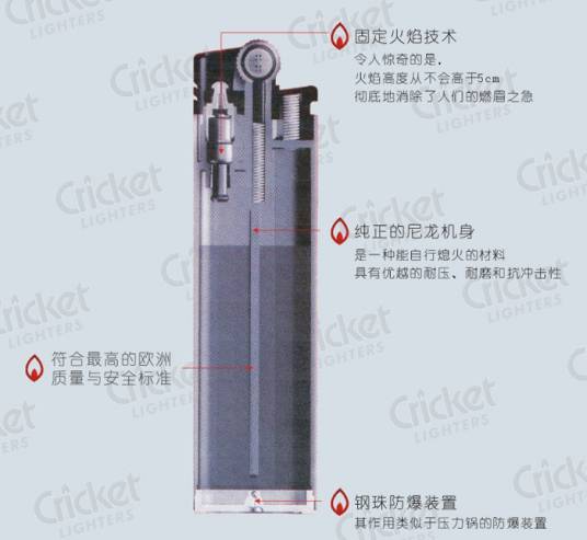 Cricket（英语单词）