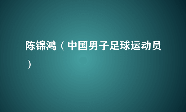 陈锦鸿（中国男子足球运动员）