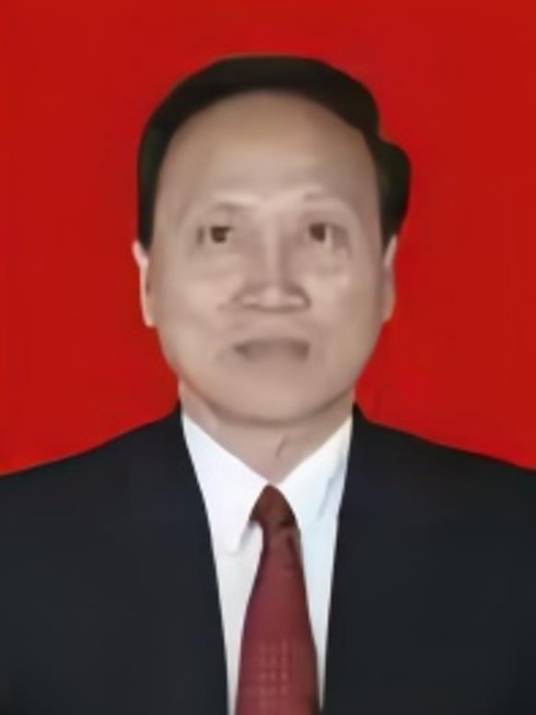 林志坚（海南省三亚市人大常委会原副主任）