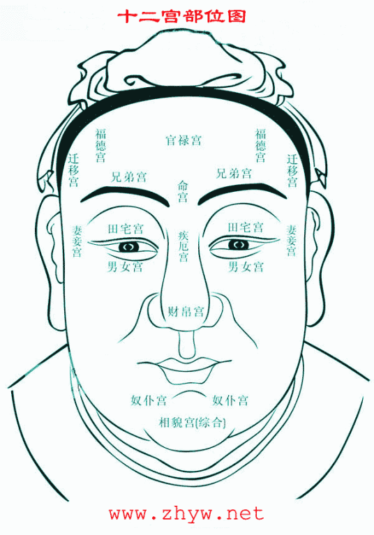 十二宫部位