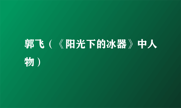 郭飞（《阳光下的冰器》中人物）