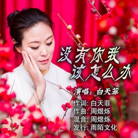 没有你我该怎么办（白天菲演唱歌曲）