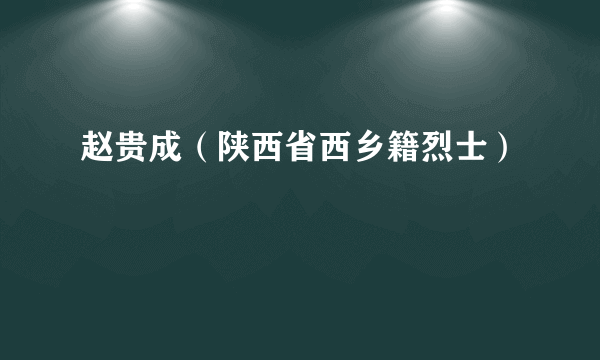 赵贵成（陕西省西乡籍烈士）