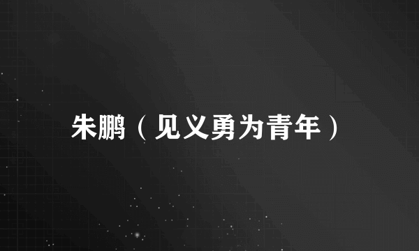 朱鹏（见义勇为青年）