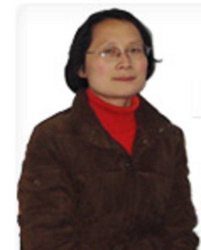 蔡朝晖（武汉大学副教授）