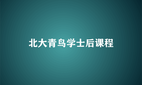 北大青鸟学士后课程