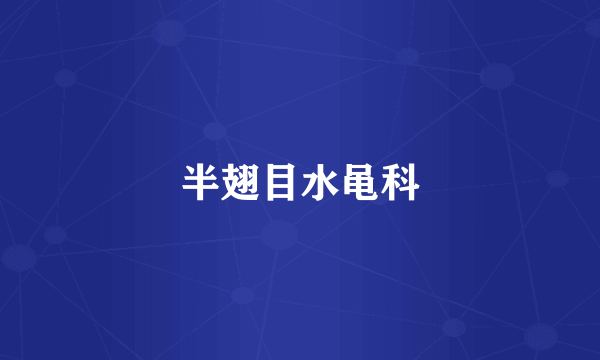 半翅目水黾科