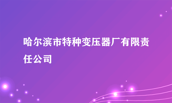 哈尔滨市特种变压器厂有限责任公司