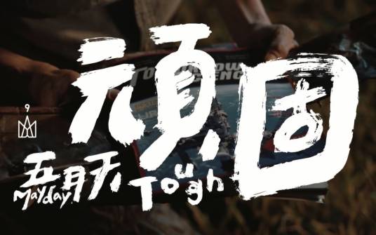 顽固（五月天演唱歌曲）