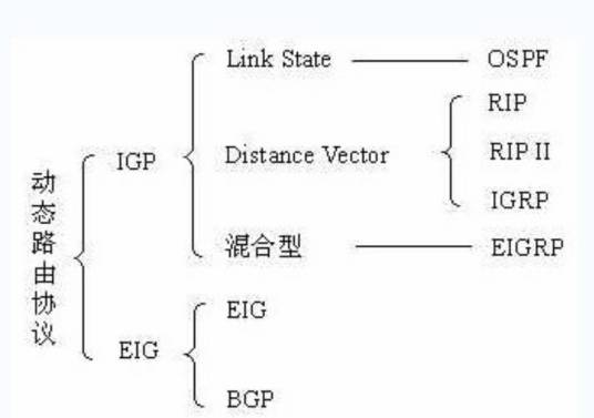 动态路由协议