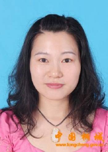胡芳芳（安徽省安庆市桐城市企业服务中心（科技创新服务中心）主任、招商中心党组副书记）