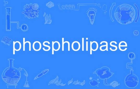 phospholipase