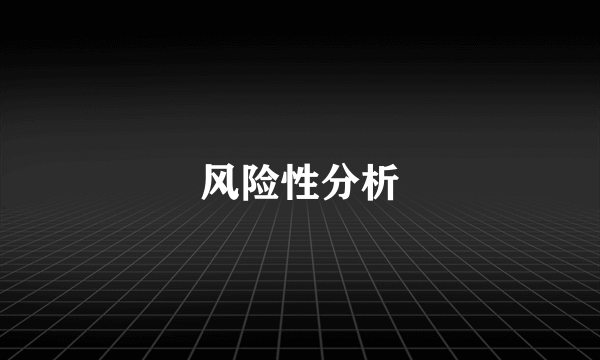 风险性分析