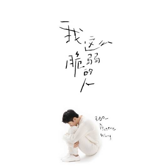 电子羊（2020年王加一演唱的歌曲）