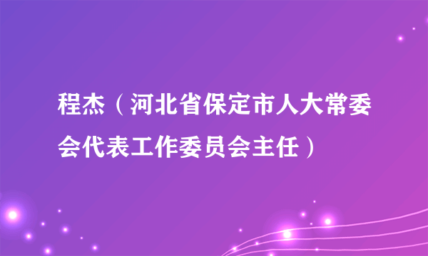 程杰（河北省保定市人大常委会代表工作委员会主任）