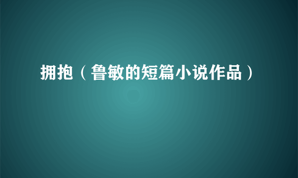 拥抱（鲁敏的短篇小说作品）