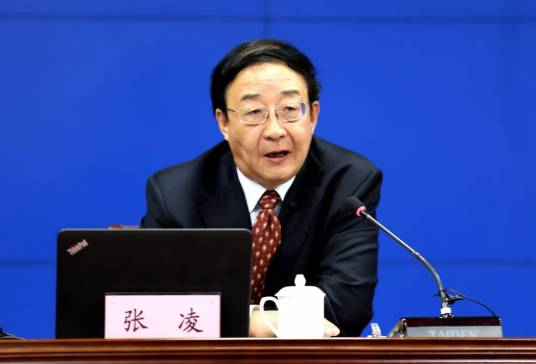 张凌（中国政法大学刑事司法学院教授）