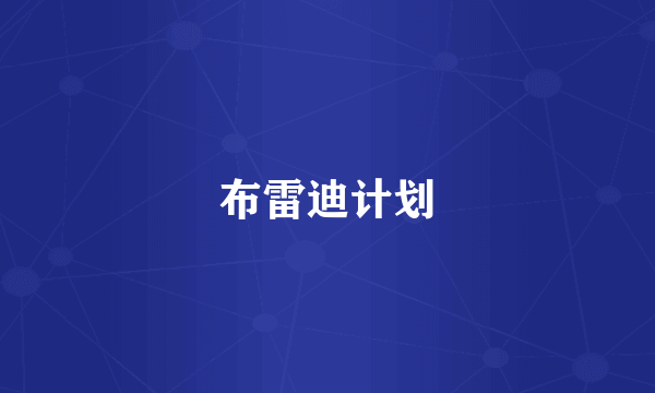 布雷迪计划