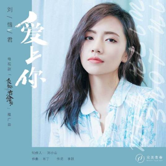 爱上你（刘惜君演唱歌曲）
