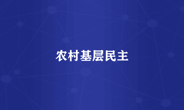 农村基层民主