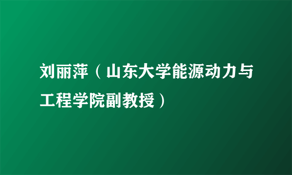 刘丽萍（山东大学能源动力与工程学院副教授）