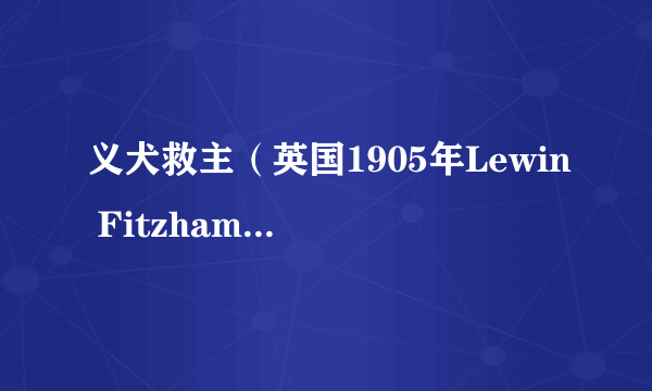 义犬救主（英国1905年Lewin Fitzhamon 、希塞尔·海普华斯执导的剧情短片）
