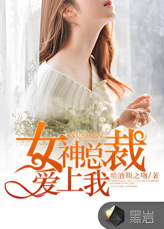 女神总裁爱上我（黑岩网小说）
