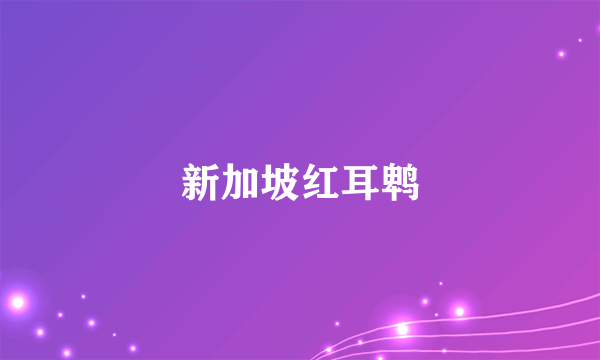 新加坡红耳鹎