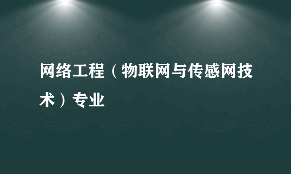 网络工程（物联网与传感网技术）专业